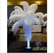New 200 pcs 22-24 in/55-60cm White Wholesale Natural Ostrich Feathers