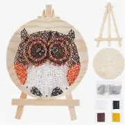 Owl 3D String Art Kit: DIY Embroidery & Nail Winding Lines Painting for Adults -