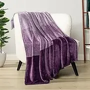 PAVILIA Purple Ombre Fleece Throw Blanket for Couch, Soft Flannel Blanket for Sofa Bed Room, Plush Lightweight Light Lavender Lilac Gradient Blanket, Cozy Microfiber Decorative Gift Throw, 50x60