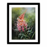 Grevillea Flower Canvas Print