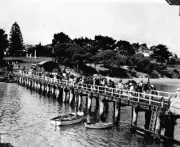 Phillip Island Victoria 1935 - A crowd of holiday makers on the je- Old Photo