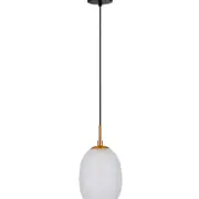 CLA Lighting Kathal Interior Ellipse Glass Segmented with Brass Highlight Enclosed Pendant Light Frosted