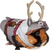 Sven Small Pet Disney Frozen Fancy Dress Up Halloween Guinea Pig Pet Costume