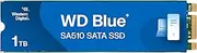 Western Digital 1TB WD Blue SA510 SATA Internal Solid State Drive SSD - SATA III 6 Gb/s, M.2 2280, Up to 560 MB/s - WDS100T3B0B