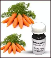 Carrot Seed Essential Oil 100% Pure Undiluted (10ML-500ML)