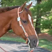 Kathy's Being Square Headstall