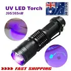 UV Ultra Violet LED Flashlight Blacklight Light 395/365 nM Inspection Lamp TorGV