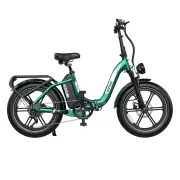 [EU DIRECT] OVIVO NEO C2 PRO Electric Bike 48V 18Ah Battery 250W Motor 20inch Tires 90-120KM Mileage Range 100KG Max Loa