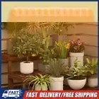 Full Spectrum Grow Lights USB Plant Grow LED Light with Timer Full Spectrum Lamp