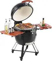 VEVOR Portable Charcoal Grill, Propane Gas Grills with Cover and Cart, Heavy Duty Stainless Steel BBQ Grill, Mini Smoker for Outdoor Cooking, Barbecue Camping, Picnic, and Backyard, Black