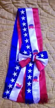 Republican Party Convention Parade Election Sash Vote Rally Candidate Political