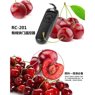 PIXEL 品色 RC-201 Canon Nikon Sony 電子快門線 有線 快門遙控 相機專家 公司貨