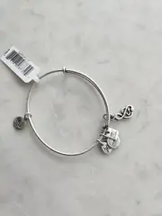 Alex And Ani Sweet Melody Rafaelian Silver Bracelet New