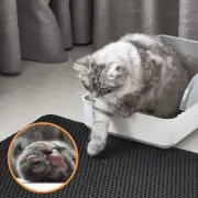 Waterproof Pet Cat Litter Mat EVA Double Layer Pet Litter Box Mat Non-slip Sand