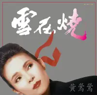 在飛比找誠品線上優惠-雪在燒 (180克透明水晶膠)