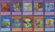 Yugioh Ritual Beast Deck - Ulti-Gaiapelio Ulti-Apelio Tamer Lara Wen Cannahawk
