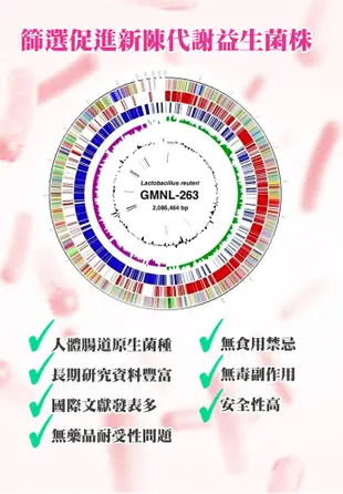 【常春樂活】雙健字認證佰益纖 60粒/盒-羅伊氏乳桿菌GMNL-263 (5.5折)