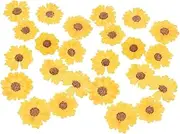 BEBEMOKO 24pcs Dried Pressed Daisy Flowers for DIY Crafting Unique Natural Dried Flowers for Candle Making Phone Case Decor and Handmade Bookmarks for Home Supplies and Creative Projects