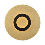 Pelzer Black Gold Circular LED Ceiling and Wall Light