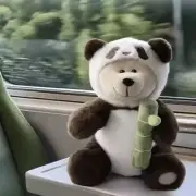 Authentic Starbucks China 2024 China Panda With Bamboo Bear Plush Doll