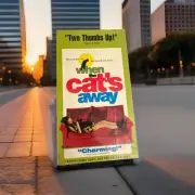 When The Cats Away VHS Demo Promo Screener Garance Clavel 1996 Sealed