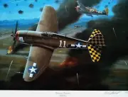 Fearsome Foursome P-47 Thunderbolts Signed Col. Herschel H. Green Mike Machat