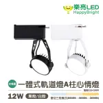 〖樂亮〗★含稅 LED 一體式軌道燈-A柱心情燈 一體成型 白殼/黑殼 三段變色 演色性：RA80 全電壓 光彩