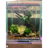 在飛比找蝦皮購物優惠-［陶弟弟］”客制” 小品造景 美達卡 孔雀魚 鬥魚 米蝦適用