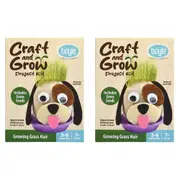 2PK Boyle Craft & Grow Project Kit Growing Grass Hair w/ Seeds Kids Activity 7+