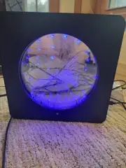 Butterfly Night Light 3d Dynamic Led Bedside Lamp with Timer touch remote