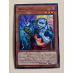 （現貨）遊戲王 DBSS-JP042 合唱殭屍 普卡 不死族 協調效果怪獸