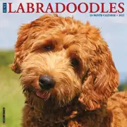 2025 Labradoodles Wall Calendar