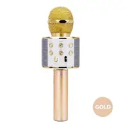 Gold Karaoke Microphone Speaker Wireless Bluetooth Handheld Mic USB Player KTV