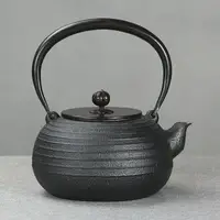 在飛比找樂天市場購物網優惠-日本老鐵壺簡約素雅純手工無涂層養生鐵茶壺煮水泡茶鑄鐵茶具套裝