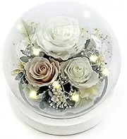 Kylin Glory Forever Flowers Real Eternal Roses Preserved Flowers Gift with LED Mood Lights for Valentine's Day Birthday Anniversary, Elegant Present for Girlfriend Wife Mom Women (Pearl White)