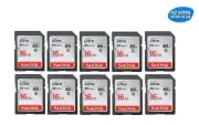 16GB Sandisk Ultra SD cards 10 pack for Digital Camera / Trail Camera / Computer