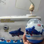 海底積木扭蛋(共6款隨機) 海底生物積木 海洋玩具 鯊魚拼裝積木扭蛋 樂高積木