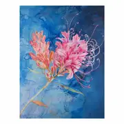 Grevillea Canvas Print