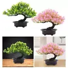 Artificial Bonsai Tree Indoor Fake Plants Bonsai Tree for Desk Bathroom Yard