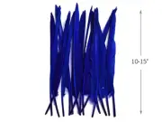 10 Pieces -Royal Blue Goose Pointers Long Primaries Wing Feathers Costume Supply