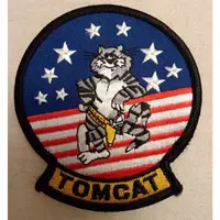 在飛比找蝦皮購物優惠-捍衛戰士  TOPGUN 雄貓戰機臂章 深色版