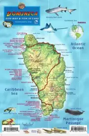 Dominica Dive Map & Coral Reef Creatures Guide Franko Maps Laminated Fish Card