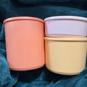 Tupperware Basic Bright Large Rounds Set Of 3-Canisters