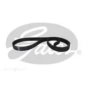 Gates Timing Belt - T987