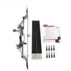 16.4inch Archery Mini Compound Bow Kit 16lbs Bow and Arrows Set