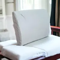 在飛比找Yahoo!奇摩拍賣優惠-【班尼斯國際名床】天然乳膠護腰曲弓枕