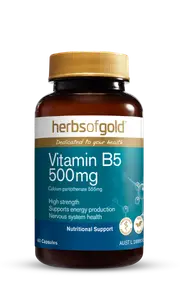Vitamin B5 500mg