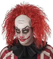 Creepy Clown Wig Standard