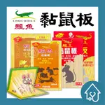 【24小時出貨】 鱷魚 環保黏鼠板 鱷王 黏鼠板 粘鼠板 奶油香味 老鼠輩剋星 黏鼠板 滅鼠 捕鼠 捕鼠板 粘鼠板