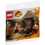 樂高 LEGO 30390 侏儸紀世界 DINOSAUR MARKET 恐龍市集 全新品